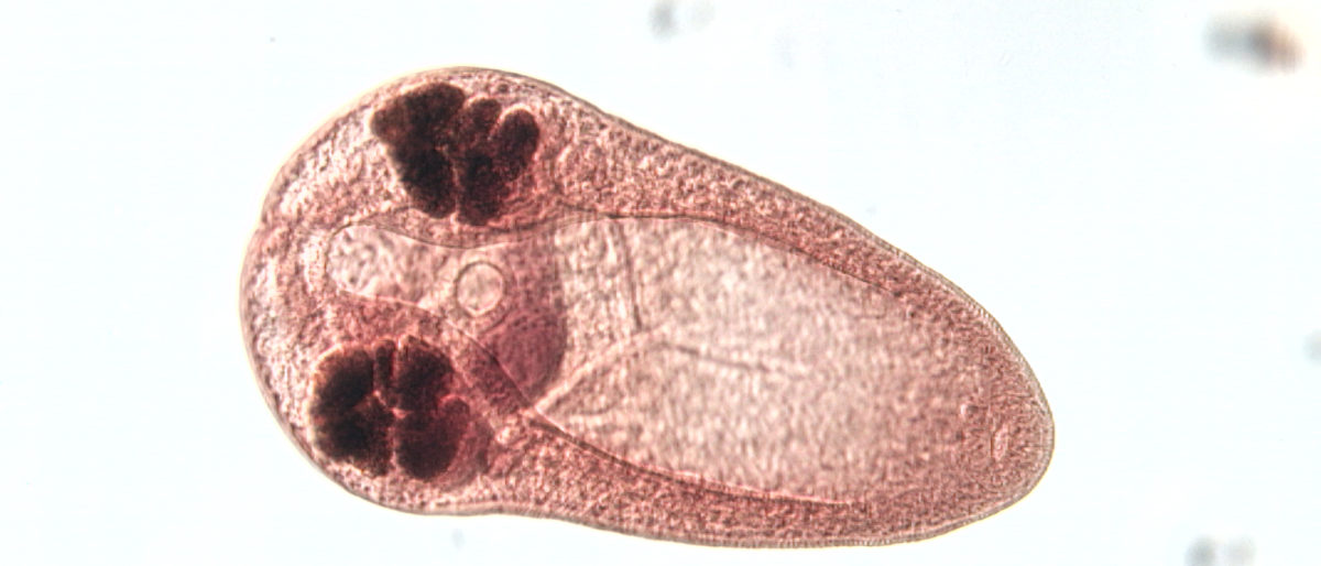 Permalink to: Galería de Imágenes