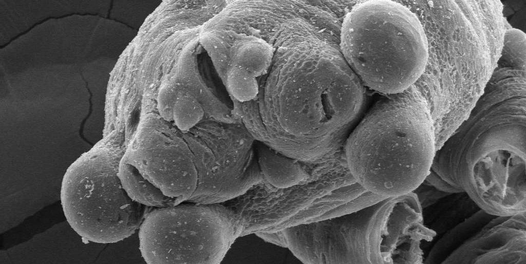 Permalink to: Publicaciones